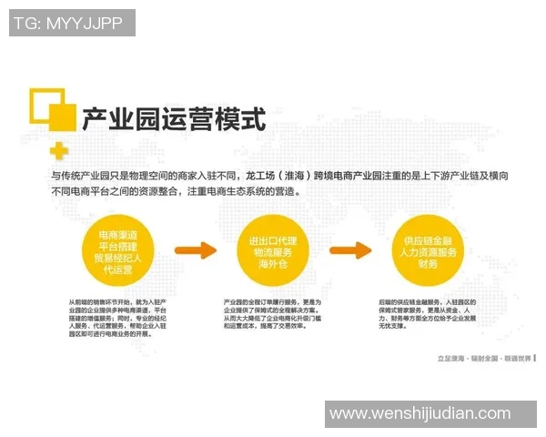 武汉羽毛球队的成功之道：深入解析其运营模式与发展策略